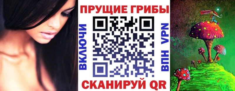 Псилоцибиновые грибы Cubensis Нюрба